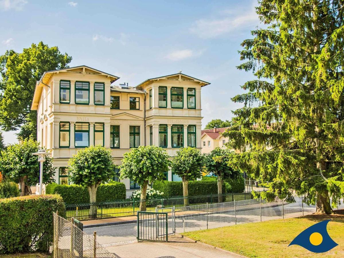 Villa Waldblick Whg 05 塞巴特黑灵斯多夫 外观 照片